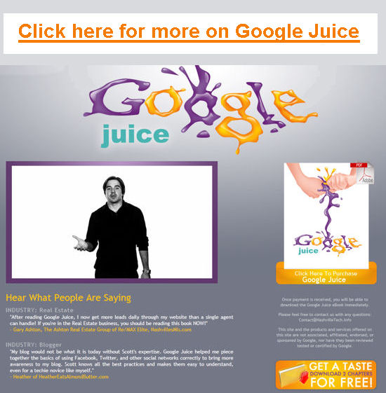 Google Juice SEO